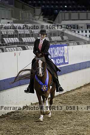 Proof Number 10r13_0581