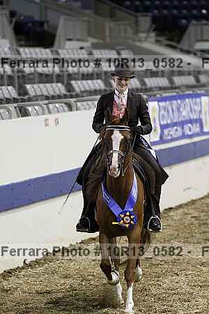 Proof Number 10r13_0582