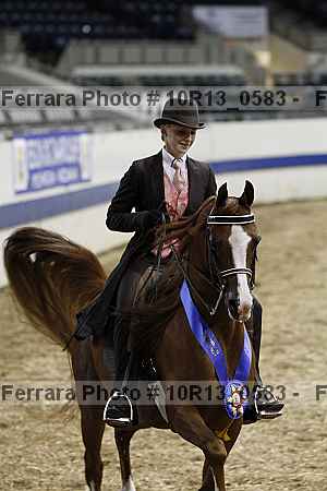 Proof Number 10r13_0583