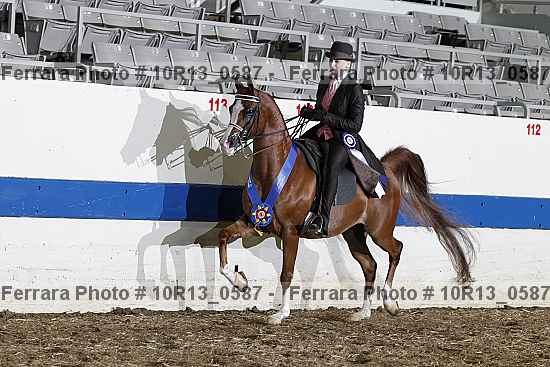 Proof Number 10r13_0587