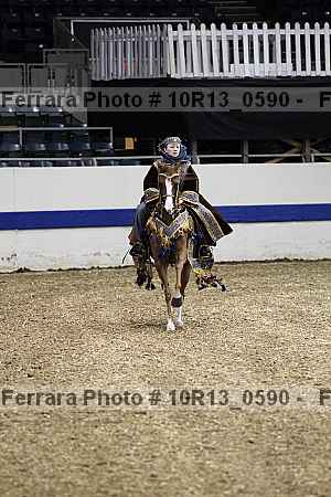 Proof Number 10r13_0590