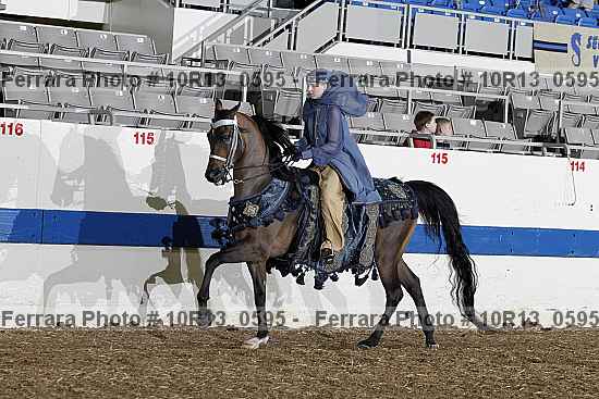 Proof Number 10r13_0595