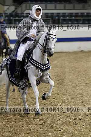 Proof Number 10r13_0596