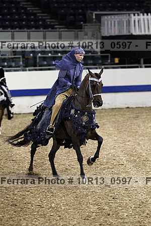Proof Number 10r13_0597
