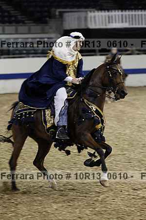Proof Number 10r13_0610