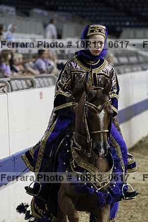 Proof Number 10r13_0617