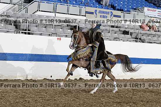 Proof Number 10r13_0637