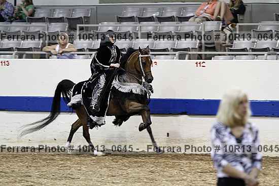 Proof Number 10r13_0645