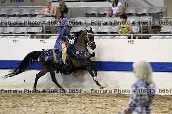 Proof Number 10r13_0651