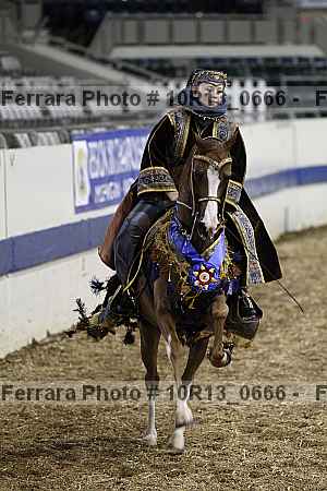 Proof Number 10r13_0666