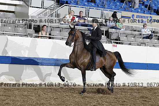 Proof Number 10r13_0670