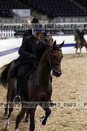 Proof Number 10r13_0673