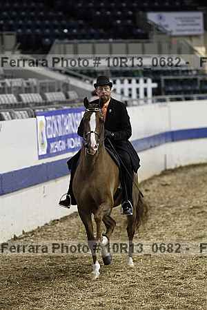 Proof Number 10r13_0682
