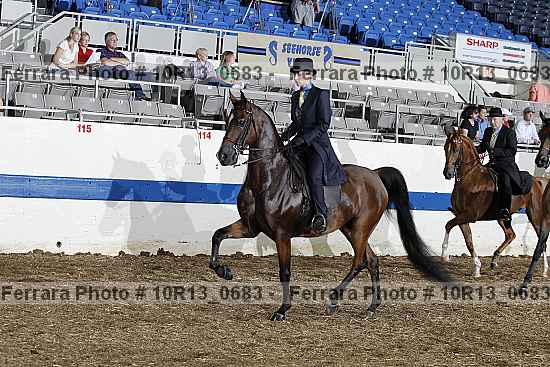 Proof Number 10r13_0683