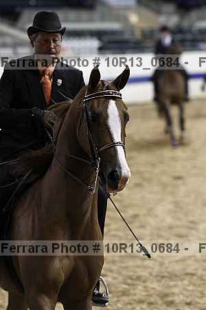 Proof Number 10r13_0684