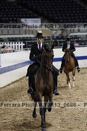 Proof Number 10r13_0686