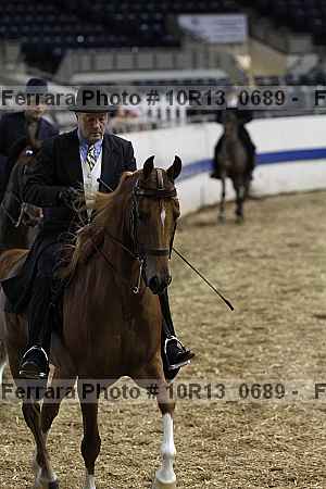 Proof Number 10r13_0689