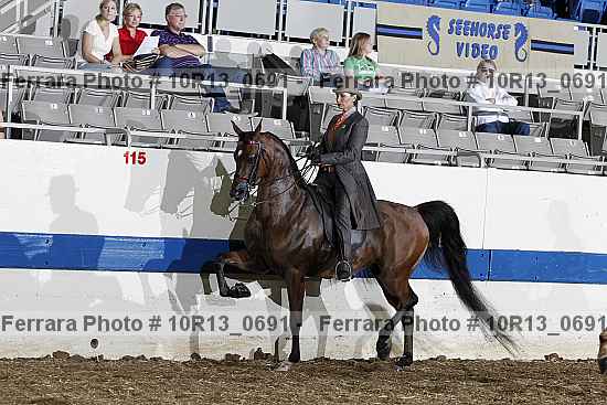 Proof Number 10r13_0691