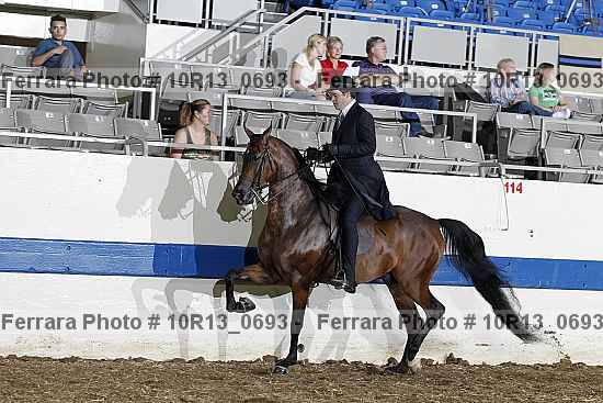 Proof Number 10r13_0693
