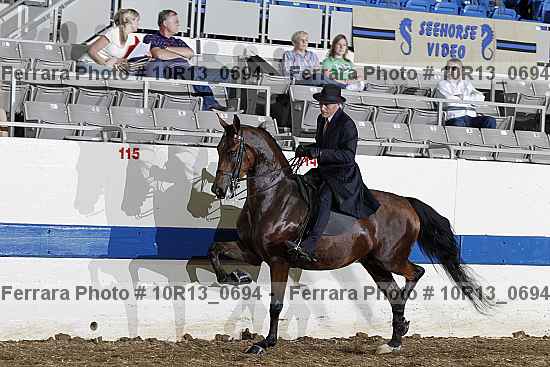 Proof Number 10r13_0694