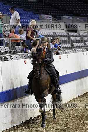 Proof Number 10r13_0698