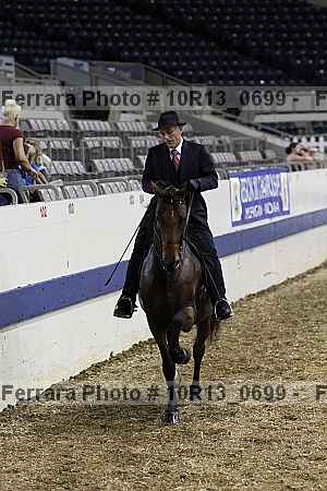 Proof Number 10r13_0699