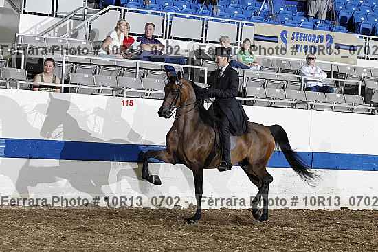 Proof Number 10r13_0702
