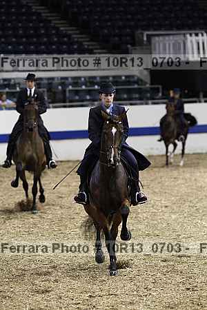Proof Number 10r13_0703