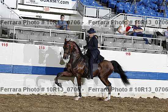 Proof Number 10r13_0706