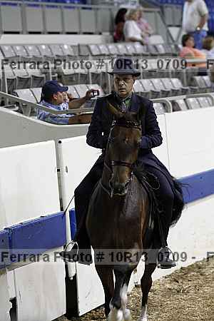Proof Number 10r13_0709
