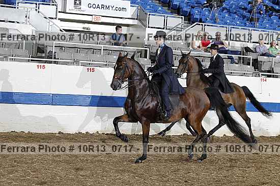 Proof Number 10r13_0717