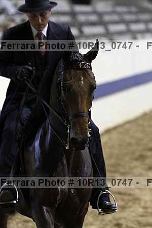 Proof Number 10r13_0747