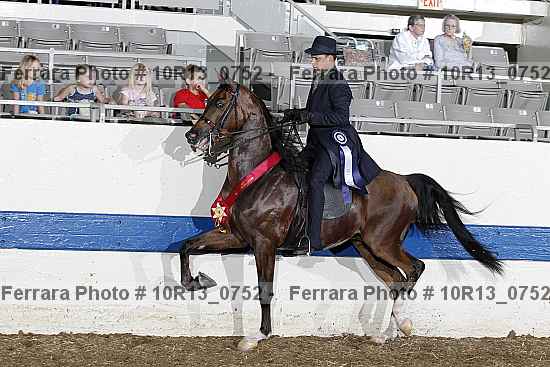 Proof Number 10r13_0752