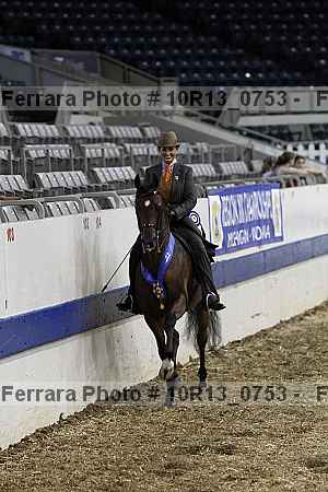 Proof Number 10r13_0753