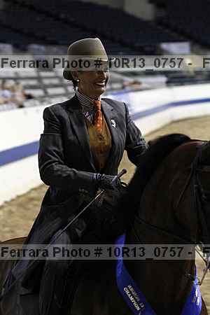 Proof Number 10r13_0757