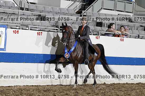 Proof Number 10r13_0758