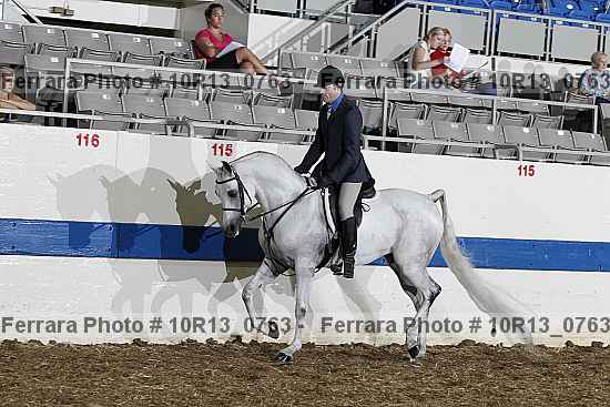Proof Number 10r13_0763