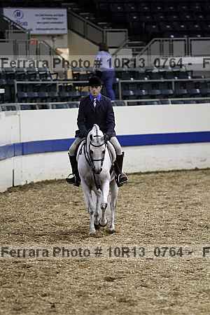 Proof Number 10r13_0764