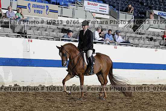 Proof Number 10r13_0766