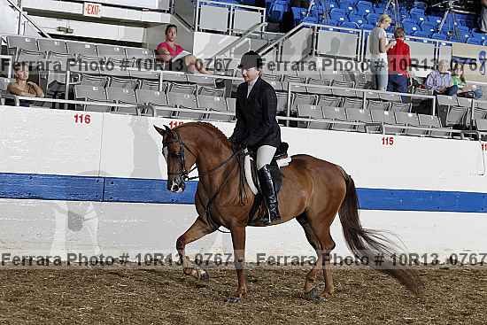 Proof Number 10r13_0767
