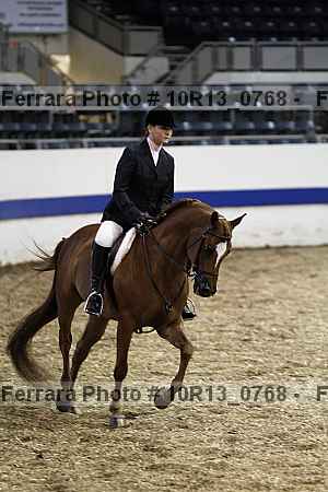 Proof Number 10r13_0768