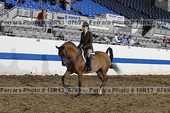 Proof Number 10r13_0769