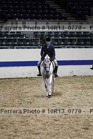 Proof Number 10r13_0770