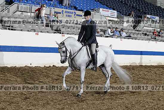Proof Number 10r13_0771