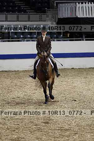 Proof Number 10r13_0772