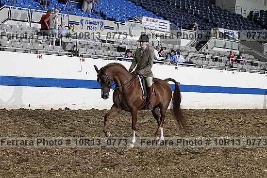 Proof Number 10r13_0773