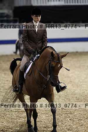Proof Number 10r13_0774