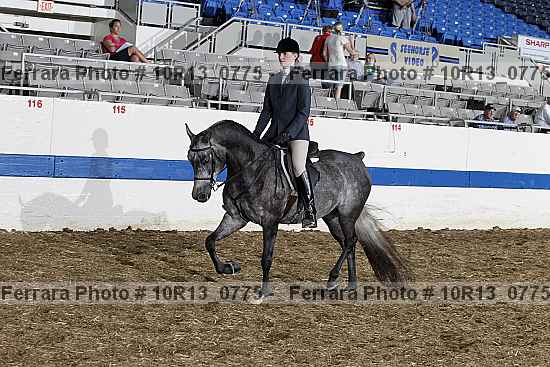 Proof Number 10r13_0775