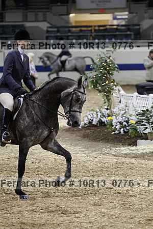Proof Number 10r13_0776