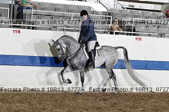 Proof Number 10r13_0777